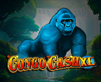 Congo Cash XL